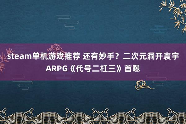 steam单机游戏推荐 还有妙手？二次元洞开寰宇ARPG《代号二杠三》首曝