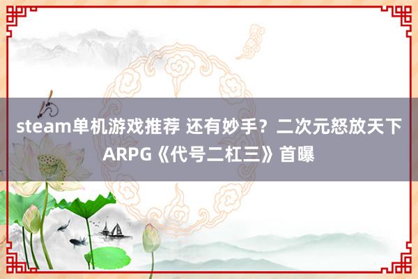 steam单机游戏推荐 还有妙手？二次元怒放天下ARPG《代号二杠三》首曝