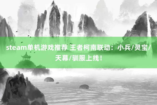 steam单机游戏推荐 王者柯南联动：小兵/灵宝/天幕/驯服上线！