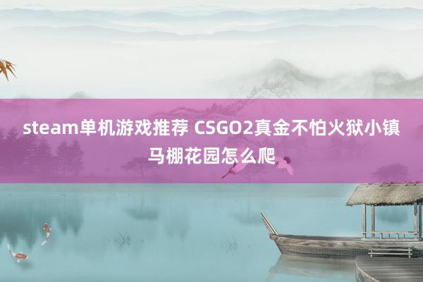 steam单机游戏推荐 CSGO2真金不怕火狱小镇马棚花园怎么爬