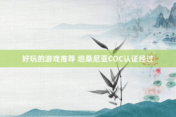 好玩的游戏推荐 坦桑尼亚COC认证经过